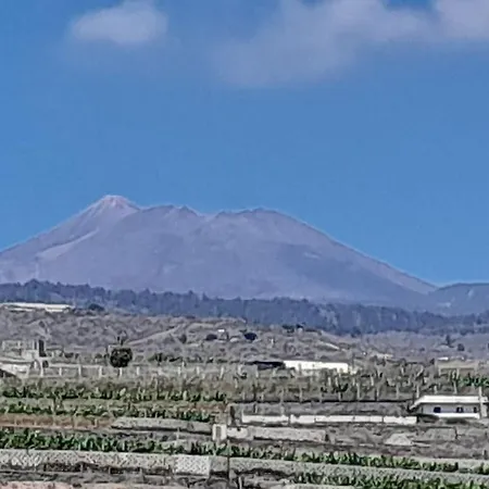 Apartman Teidemar, En El Sur De Tenerife *